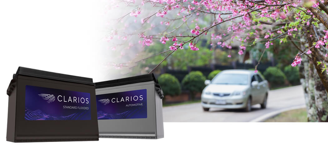 Spring Battery Care