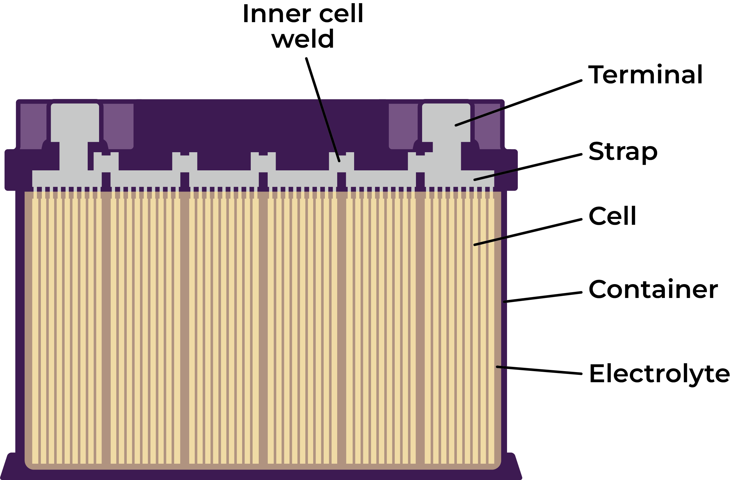 Battery Anatomy C